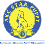 akc star puppy